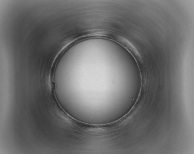 X0000112901276200908211043