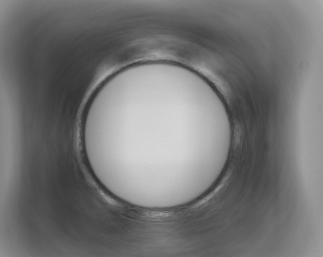 X0000112901278200908211043