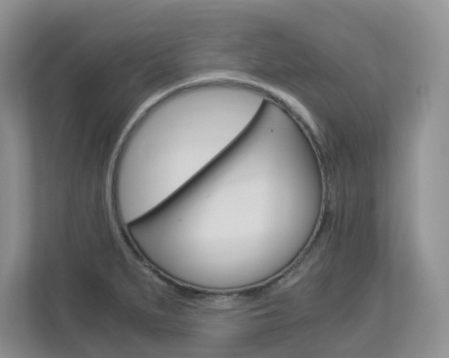 X0000112901279200908211043