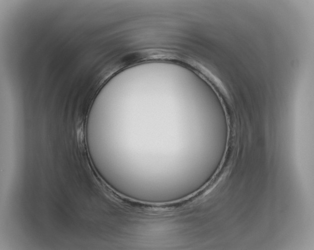 X0000112901281200908211043