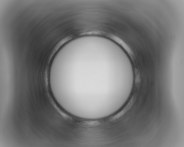 X0000112901282200908211043
