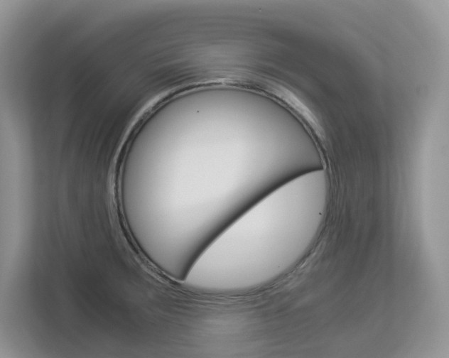 X0000112901283200908211043