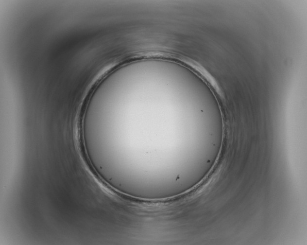X0000112901285200908211043