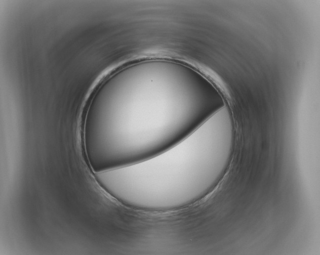 X0000112901288200908211043