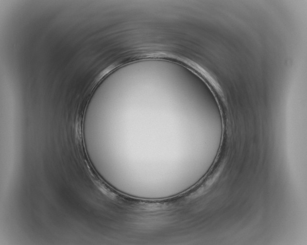 X0000112901289200908211043