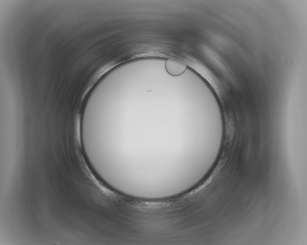 X0000112901290200908211043