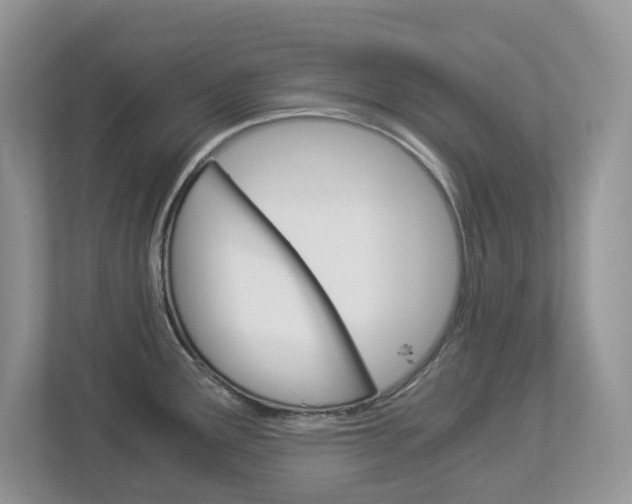 X0000112901291200908211043