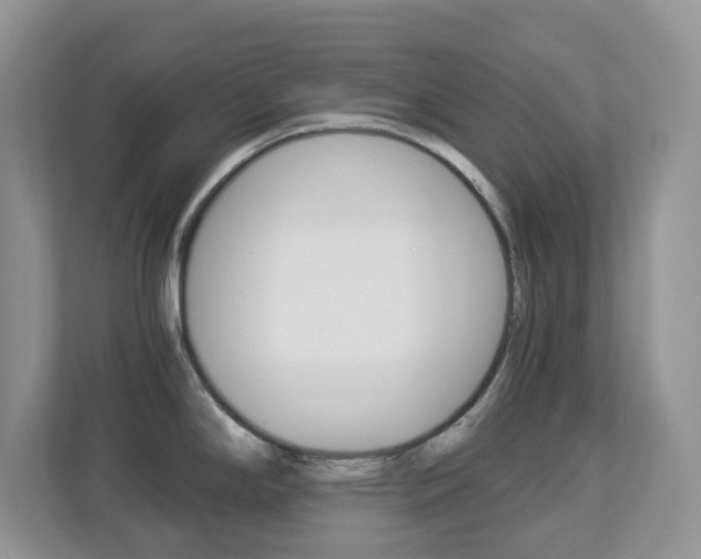 X0000112901294200908211043