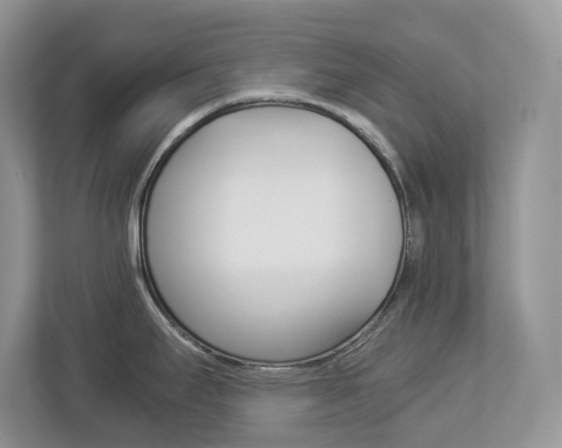 X0000112901295200908211043