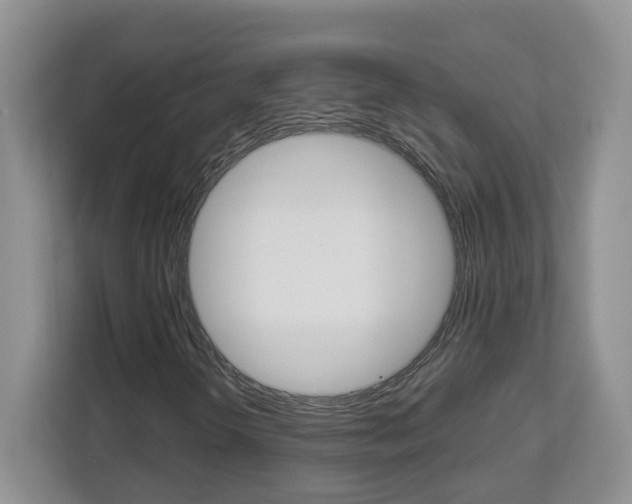 X0000112901298200908211042