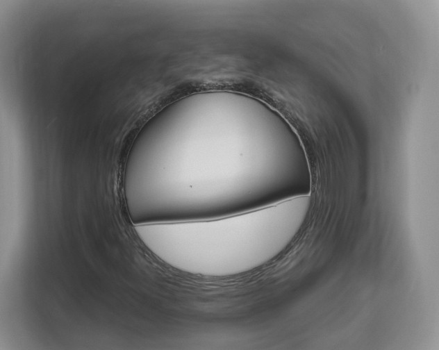 X0000112901300200908211042