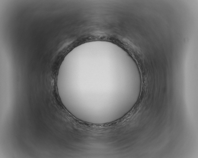 X0000112901302200908211042
