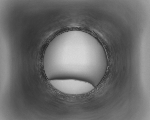 X0000112901303200908211042