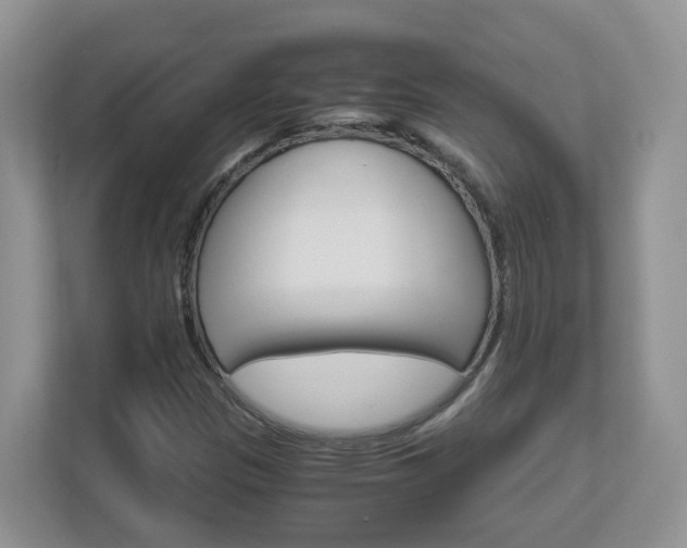 X0000112901305200908211042