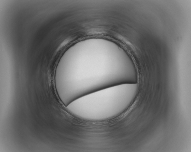 X0000112901306200908211042