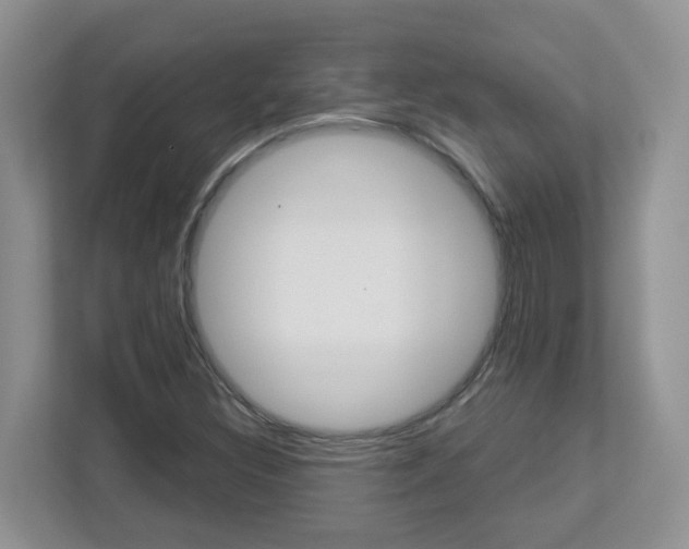 X0000112901308200908211042