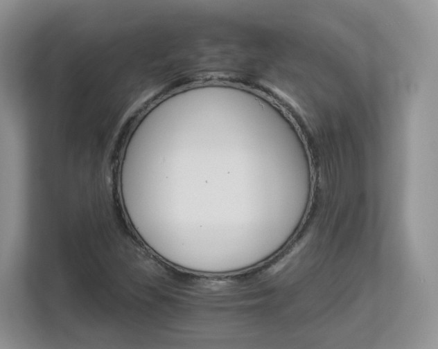 X0000112901309200908211042