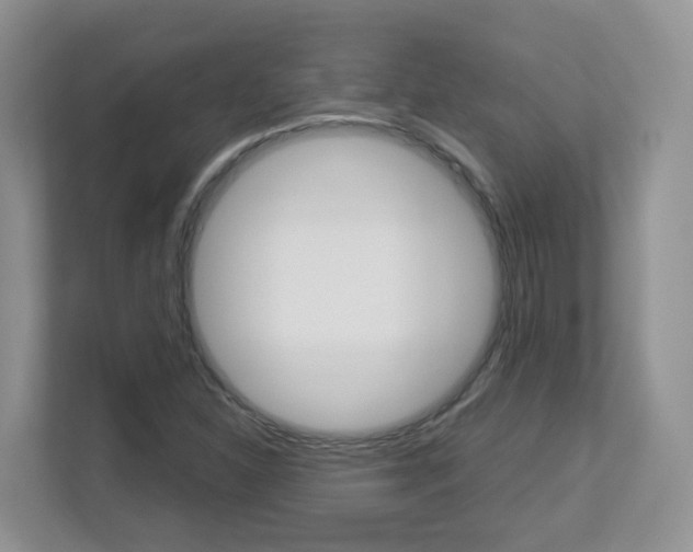 X0000112901310200908211042