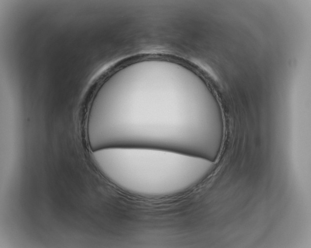 X0000112901311200908211042
