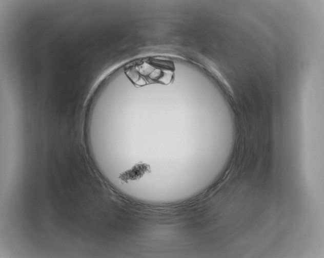 X0000112901312200908211042