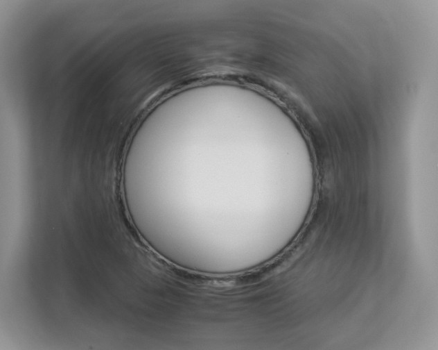 X0000112901313200908211042