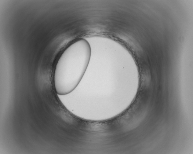 X0000112901314200908211042