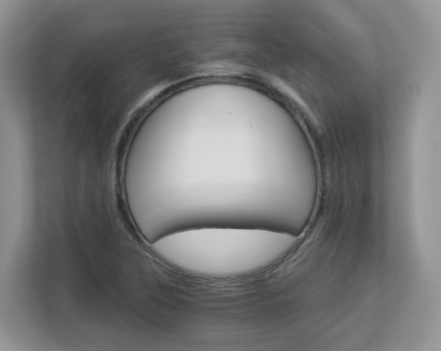 X0000112901315200908211042