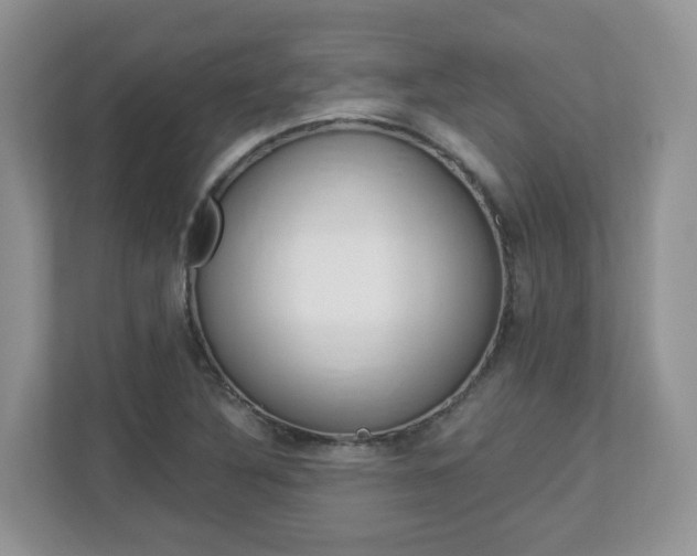 X0000112901316200908211042