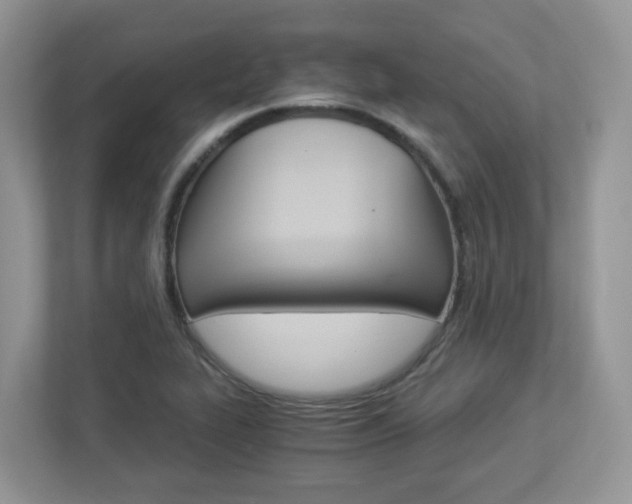 X0000112901319200908211042