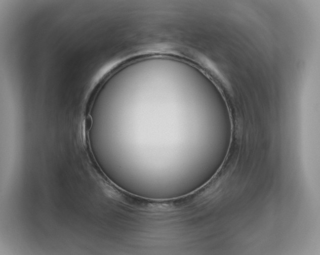 X0000112901320200908211042