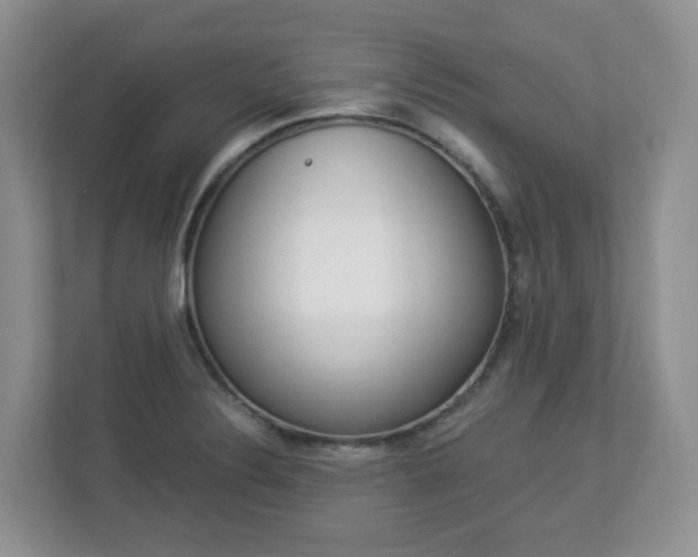 X0000112901324200908211042