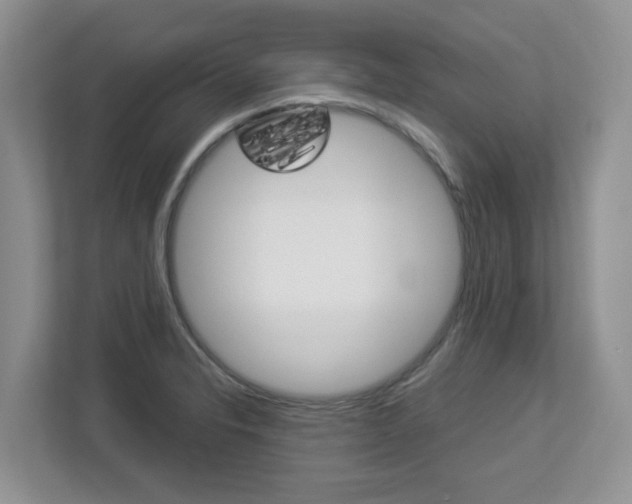 X0000112901326200908211042