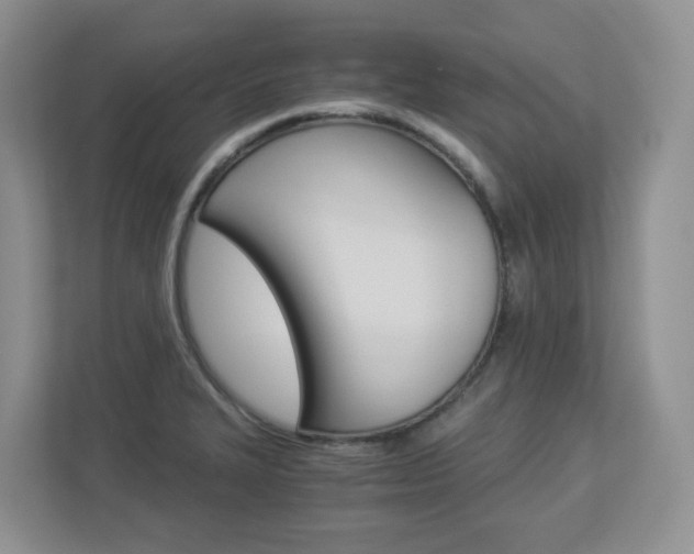 X0000112901327200908211042