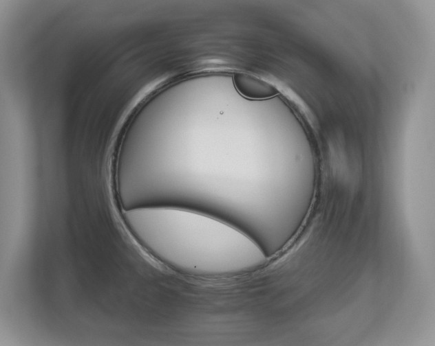 X0000112901333200908211042