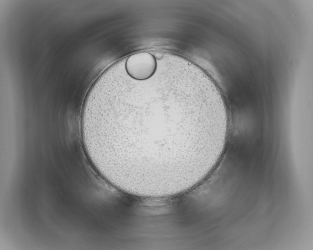 X0000112901338200908211042