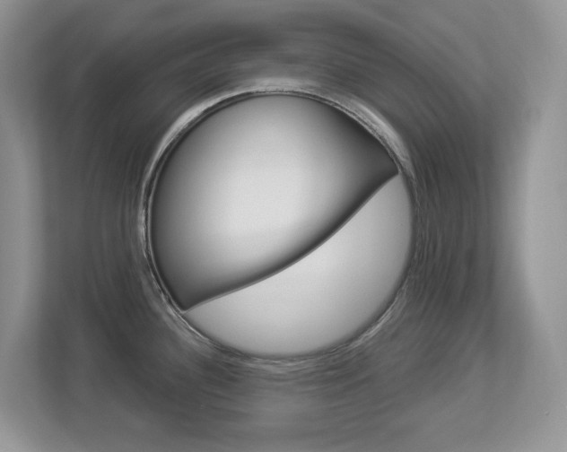 X0000112901340200908211043
