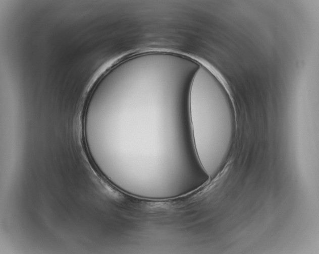 X0000112901341200908211043