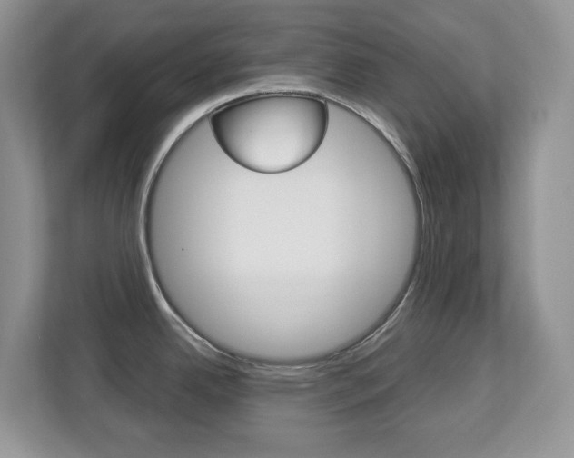 X0000112901342200908211043