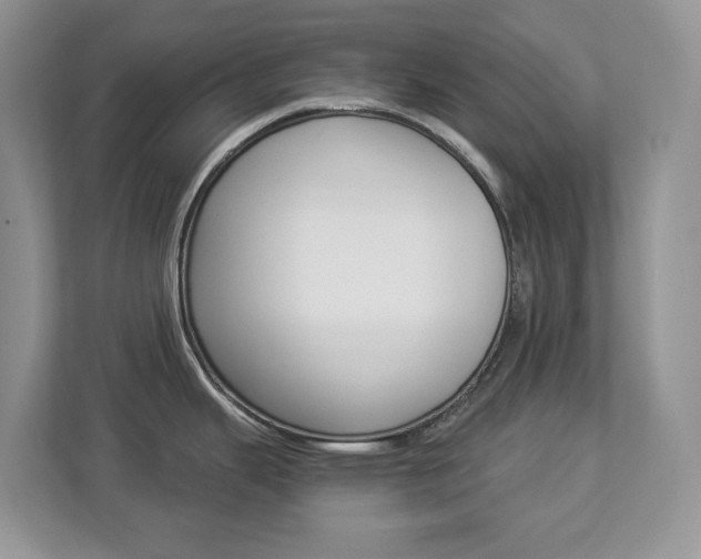 X0000112901343200908211043