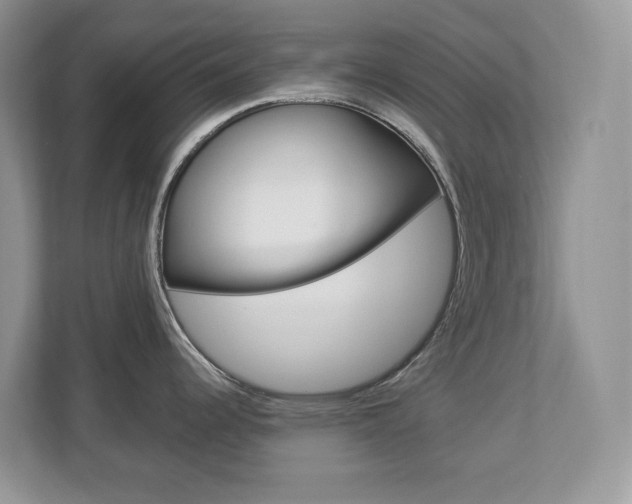X0000112901344200908211043