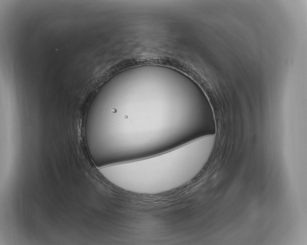X0000112901348200908211042