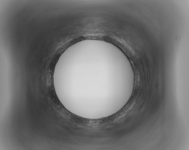 X0000112901350200908211042