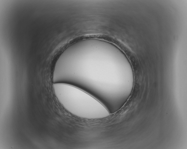 X0000112901351200908211042