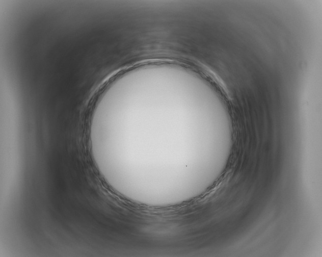 X0000112901352200908211042