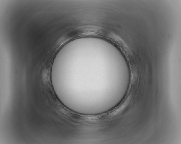 X0000112901353200908211042