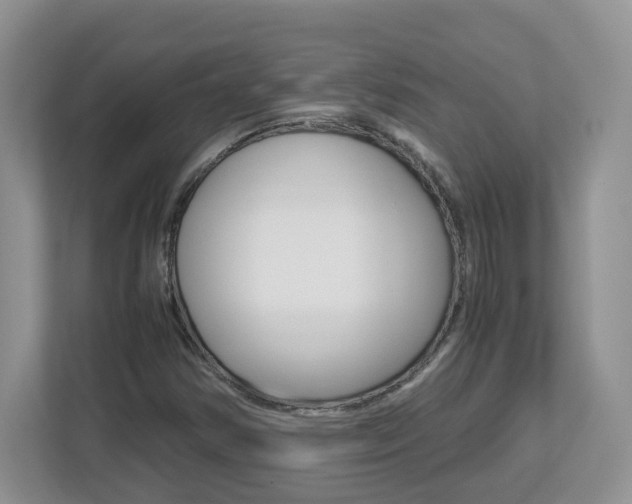 X0000112901354200908211042