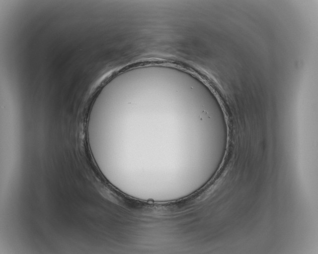 X0000112901355200908211042