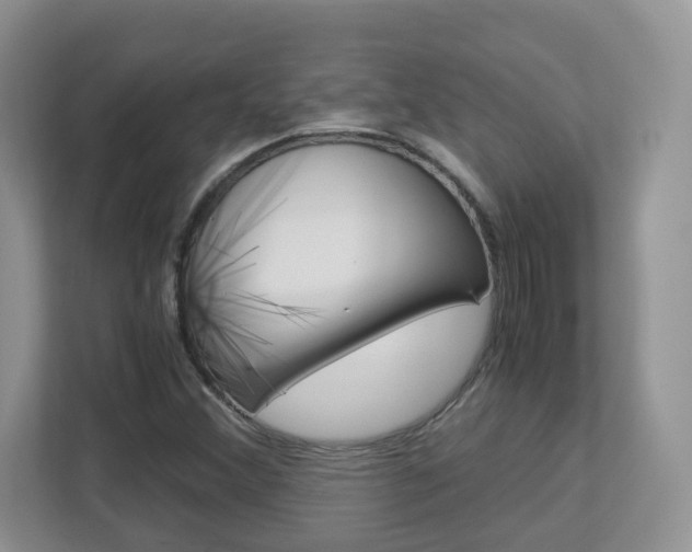 X0000112901356200908211042