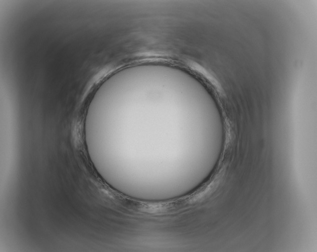 X0000112901357200908211042