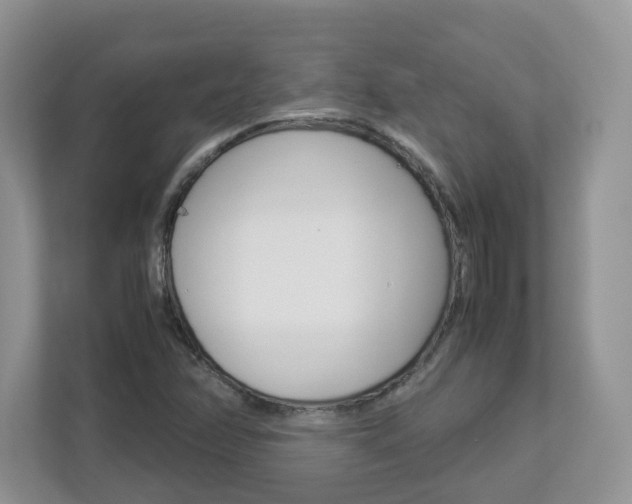 X0000112901358200908211042